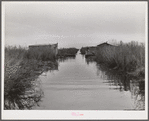 Spanish muskrat trapper's camp with home built piroques (canoes) on the bayou in the marshes near Delacroix Island, Louisiana.