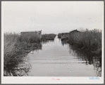 Spanish muskrat trapper's camp with home built piroques (canoes) on the bayou in the marshes near Delacroix Island, Louisiana.