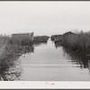 Spanish muskrat trapper's camp with home built piroques (canoes) on the bayou in the marshes near Delacroix Island, Louisiana.