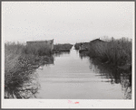 Spanish muskrat trapper's camp with home built piroques (canoes) on the bayou in the marshes near Delacroix Island, Louisiana.