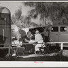 Guests of trailer park playing Chinese checkers outside their trailer home. Sarasota trailer park, Sarasota, Florida.
