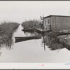 Spanish muskrat trapper's camp with home built piroques (canoes) on the bayou in the marshes near Delacroix Island, Louisiana.
