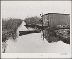 Spanish muskrat trapper's camp with home built piroques (canoes) on the bayou in the marshes near Delacroix Island, Louisiana.