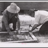 Nailing metal reinforcements to screen door joints on outside face of door. Screening demonstration. Charles County, La Plata, Maryland.