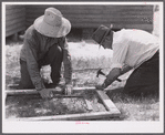 Nailing metal reinforcements to screen door joints on outside face of door. Screening demonstration. Charles County, La Plata, Maryland.