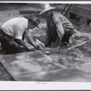 Screen is tacked to inside of frame and inside joints are reinforced. Screen door construction demonstration. Charles County, La Plata, Maryland.