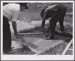 Assembling screen wire battens for covering window frames. Screening demonstration. Charles County, La Plata, Maryland.