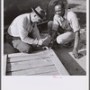 Nailing a joint of screen door. These doors are simple to build, require few tools, are durable and inexpensive. Screening demonstration. Saint Mary's County, Ridge, Maryland.