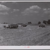 Wagons hauling wheat which has been harvested with a binder, to the barnyard for threshing on a farm near Madison, Wisconsin.