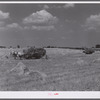 Wagons hauling wheat which has been harvested with a binder, to the barnyard for threshing on a farm near Madison, Wisconsin.