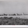 Field of wheat with town and grain elevators in distant horizon. Red River Valley, North Dakota.