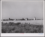 Field of wheat with town and grain elevators in distant horizon. Red River Valley, North Dakota.