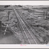Railroad with grain elevators near Minot, North Dakota.