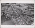Railroad with grain elevators near Minot, North Dakota.