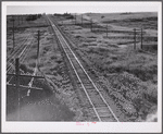 Railroad with grain elevators near Minot, North Dakota.