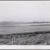 Snow fence, wheat field and ranch buildings near Minot, North Dakota.