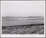 Snow fence, wheat field and ranch buildings near Minot, North Dakota.