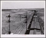 Freight train going west from Minot, North Dakota, across the plains.