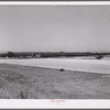 Wheat field and ranch buildings near Minot, North Dakota.