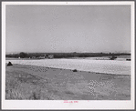 Wheat field and ranch buildings near Minot, North Dakota.