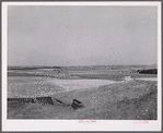 Snow fence, wheat field and ranch buildings near Minot, North Dakota.