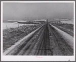 Highway through wheat ranches near Williston, North Dakota.