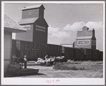 Loading freight on to wagon from station platform as the freight train is leaving Homestead, Montana.