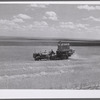 Harvesting wheat with combines on Schnitzler Corporation ranch, Froid, Montana. There are about 2800 acres on this part of the ranch and they are getting over forty bushels to the acre. It is one of the largest wheat ranches in the West.