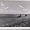 Harvesting wheat with combines on Schnitzler Corporation ranch, Froid, Montana. There are about 2800 acres on this part of the ranch and they are getting over forty bushels to the acre. It is one of the largest wheat ranches in the West.