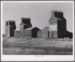 Building additional storage space for bumper wheat crop. Grain elevators in Homestead, Montana.