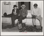 Fur buyers figuring out their bid for trapper's muskrats at auction sale in dance hall. Delacroix Island, Louisiana.