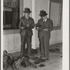 Manuel Malero, President of the Delacroix Island Corporation, and his nephew examining and grading muskrats at fur auction sale in dance hall. Delacroix Island, Louisiana.