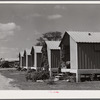 Metal shelters for agricultural works. Osceola migratory labor camp. Belle Glade, Florida.