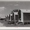 Metal shelters for agricultural works. Osceola migratory labor camp. Belle Glade, Florida.