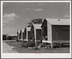 Metal shelters for agricultural works. Osceola migratory labor camp. Belle Glade, Florida.