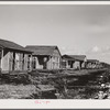 Buildings being erected for migratory labor in Pahokee, Florida.