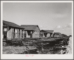Buildings being erected for migratory labor in Pahokee, Florida.