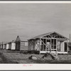 Buildings being erected for migratory labor in Pahokee, Florida.