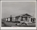 Buildings being erected for migratory labor in Pahokee, Florida.