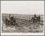 Discing land on Terrebonne Project. Schriever, Louisiana.