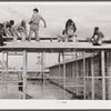 Construction of Army barracks at Camp Blanding. Starke, Florida.