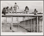 Construction of Army barracks at Camp Blanding. Starke, Florida.
