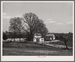 Farm near Vienna, Virginia.