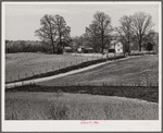 Farm near Vienna, Virginia.