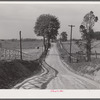 Dirt road and fence through farmland in Fairfax County, Virginia.