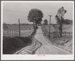 Dirt road and fence through farmland in Fairfax County, Virginia.