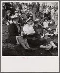 Spectators at the Point-to-Point Cup race of the Maryland Hunt Club. Worthington Valley, near Glyndon, Maryland.
