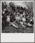 Spectators at the Point-to-Point Cup race of the Maryland Hunt Club. Worthington Valley, near Glyndon, Maryland.