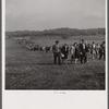 Spectators at the Point-to-Point Cup race of the Maryland Hunt Club. Worthington Valley, near Glyndon, Maryland.