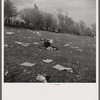 Spectators picnicking before the Point to Point Cup race of the Maryland Hunt Club. Worthington Valley, near Glyndon, Maryland.